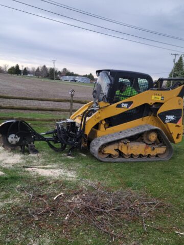 Licensed Tree Felling